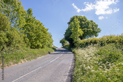 Summertime rural country road scenery in England.