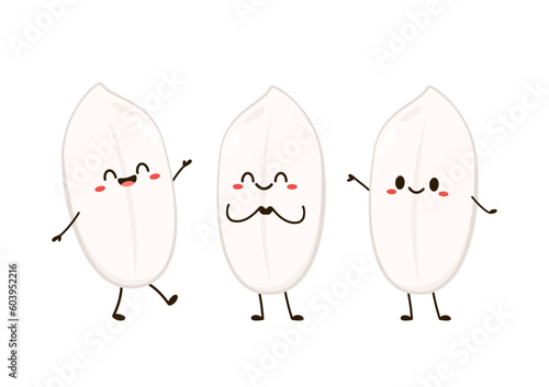 Rice character design. rice vector on white background. rice seed. Paddy mascot vector isolated.