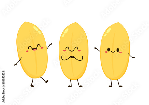 Rice character design. rice vector on white background. rice seed. Paddy mascot vector isolated.