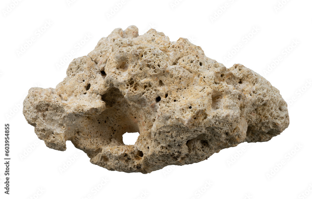 White sea stone isolated element White sea stone isolated element
