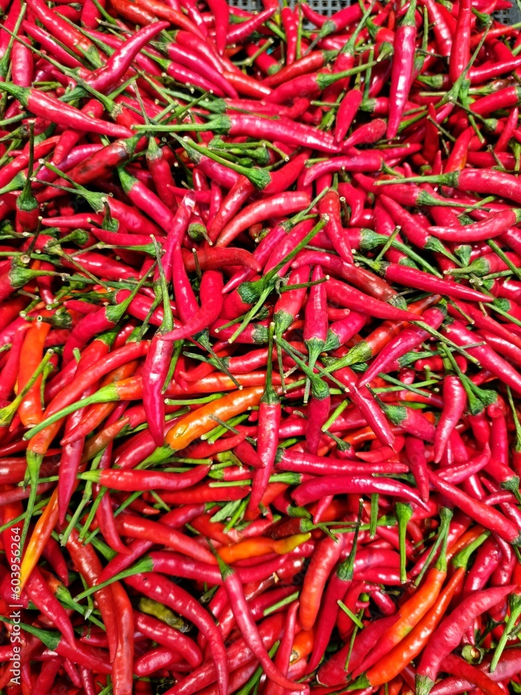 Fototapeta premium Fresh Red Hot Chillies pile Background
