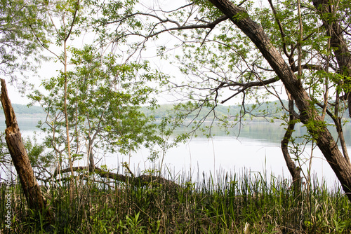 Fototapeta Naklejka Na Ścianę i Meble -  湖畔の風景
