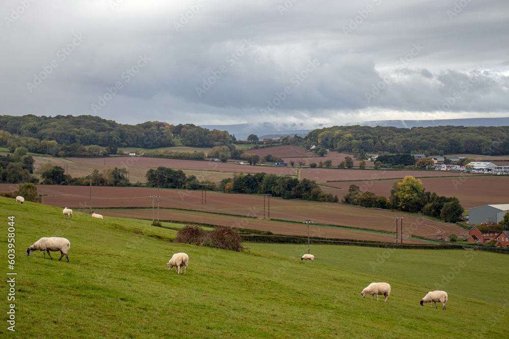 Autumn scenery around Hay on Wye, UK. Autumn scenery around Hay on Wye, UK.