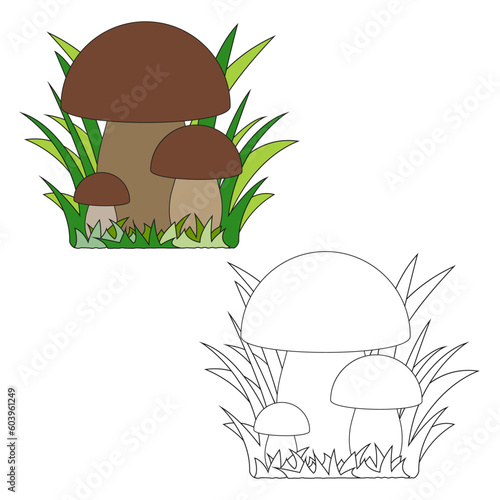 Children's coloring book cartoon mushrooms boletus with green grass on a white background.