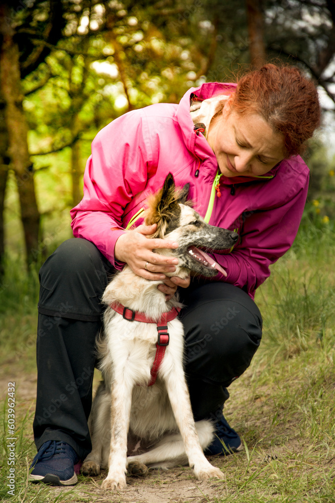 Woman hugging dog in forest. Cheerful lady in pink jacket hugs puppy sitting on a path of the forest on nice day.