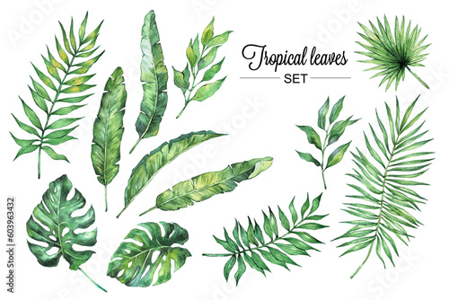 Tropical palm leaves set on white background. Watercolor hand-painted, summer clipart