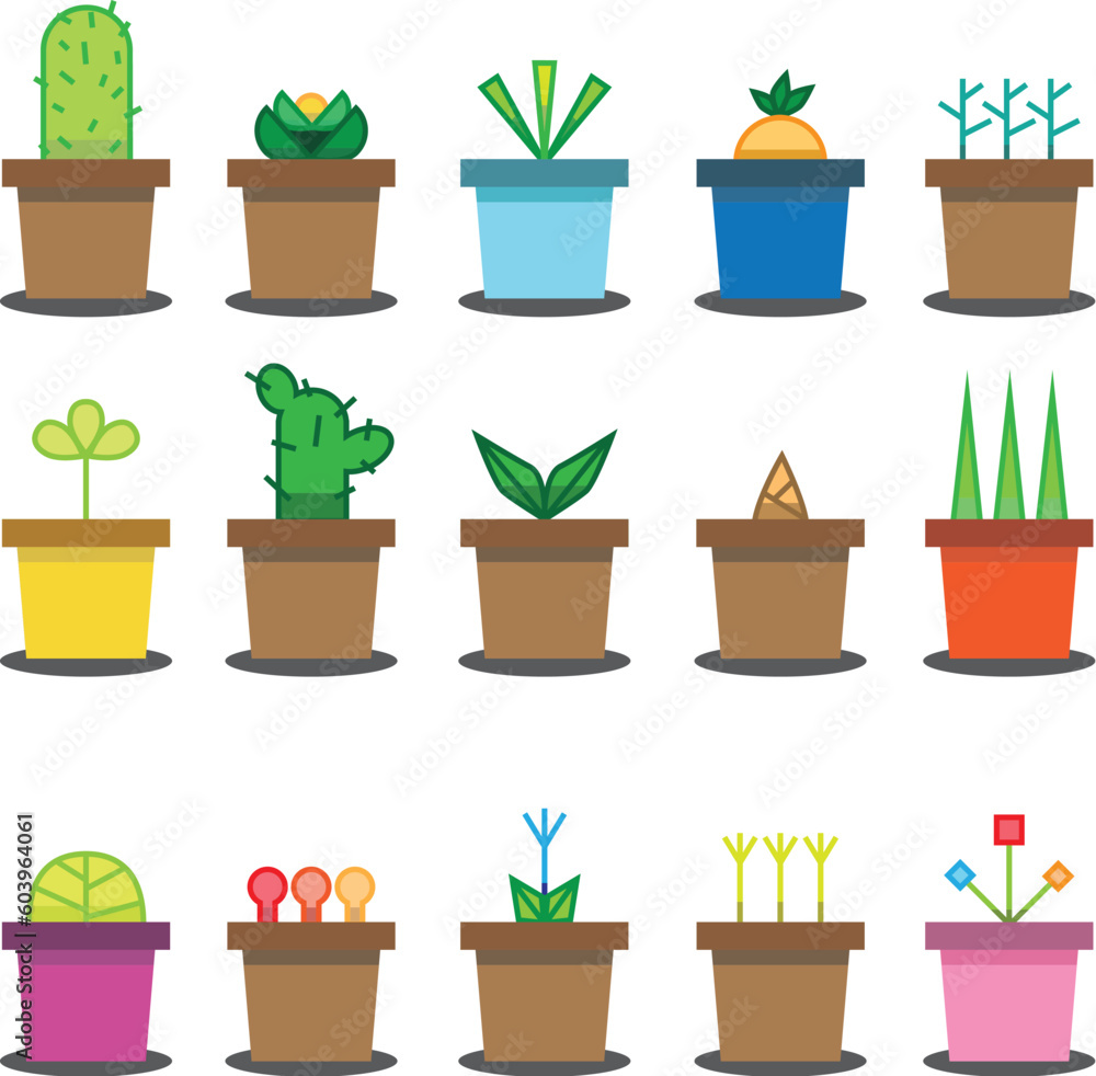 Fototapeta premium plants in pots