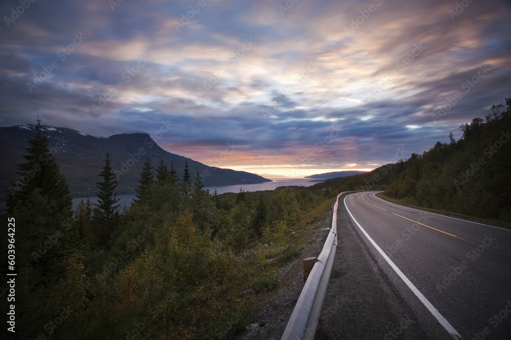 Road through forest with mountains and lake