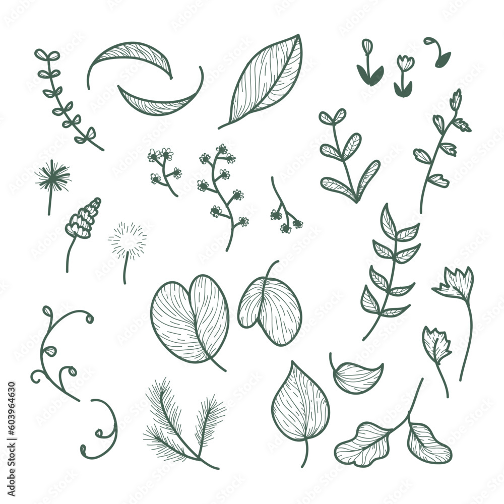 set of leaves set of leaves
