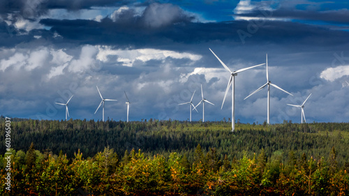 Wind farm and forest under clouds photo