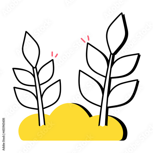 Wheat Plant