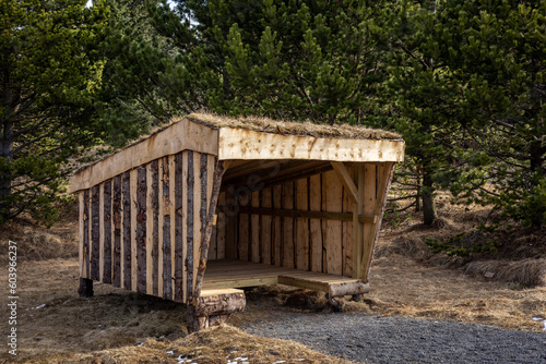 Wooden picnic hut with grass roof in the forest in Reykjavik, Iceland.  © Kati Lenart