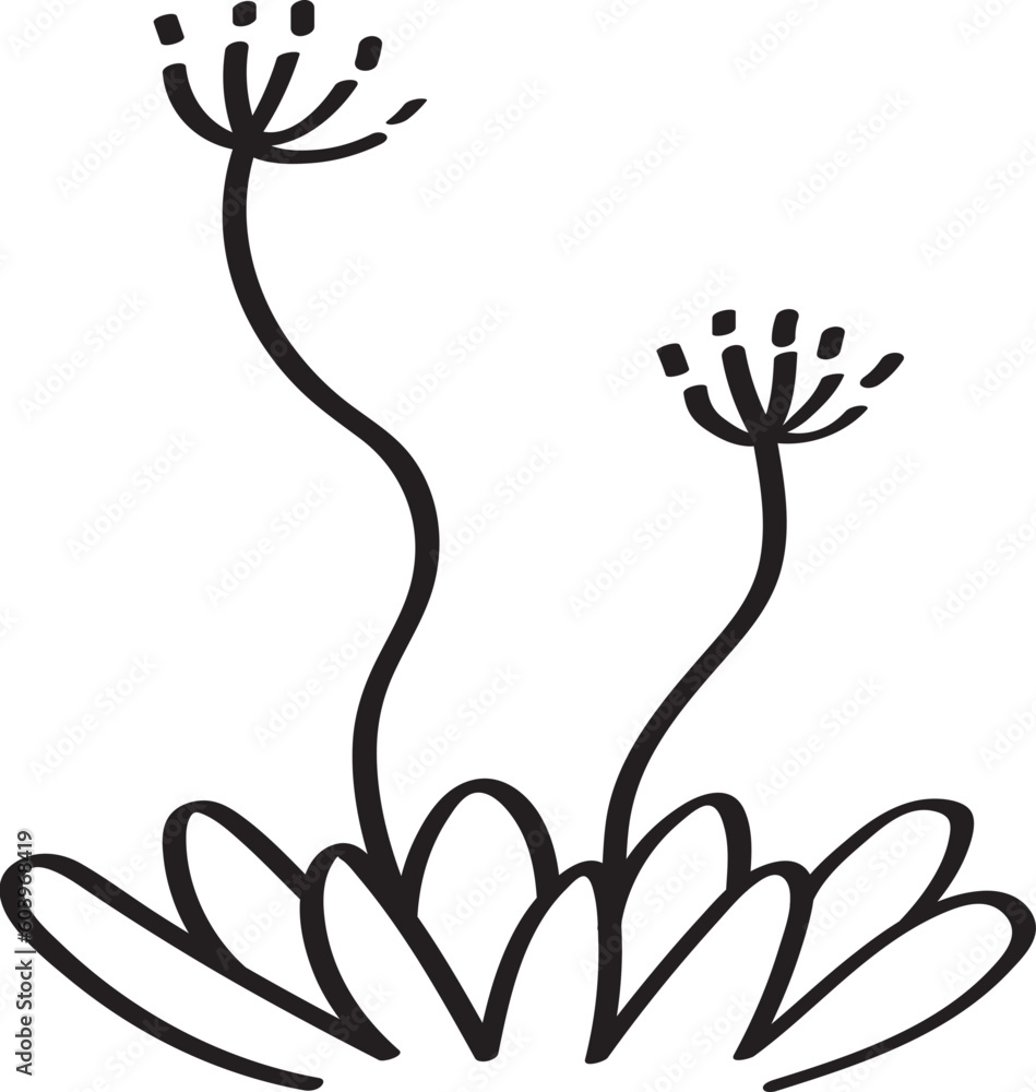 hand drawn side view of plant illustration hand drawn side view of plant illustration