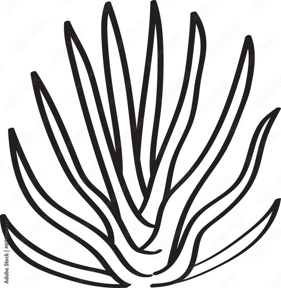 hand drawn side view of plant illustration