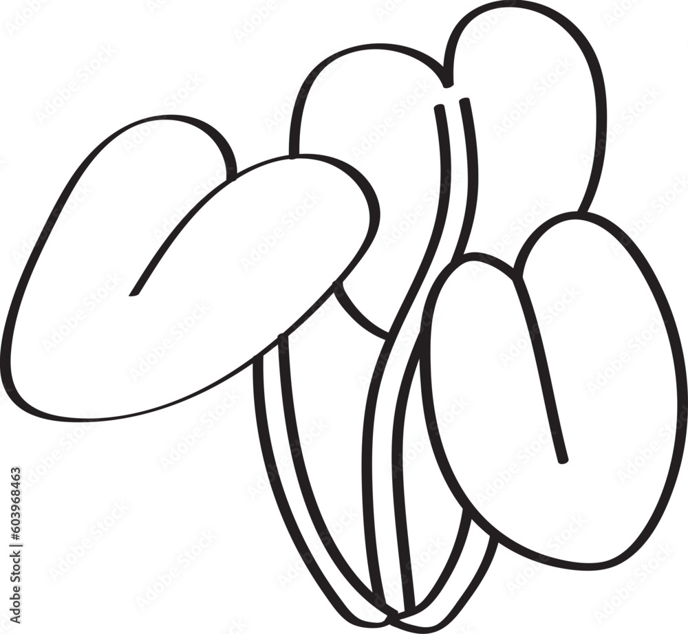 hand drawn side view of plant illustration hand drawn side view of plant illustration