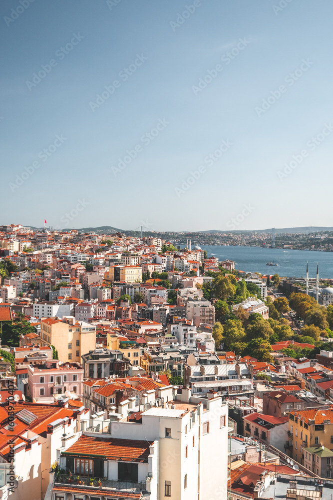 A view of the city of Istanbul from the top of the Galata Tower, Turkey