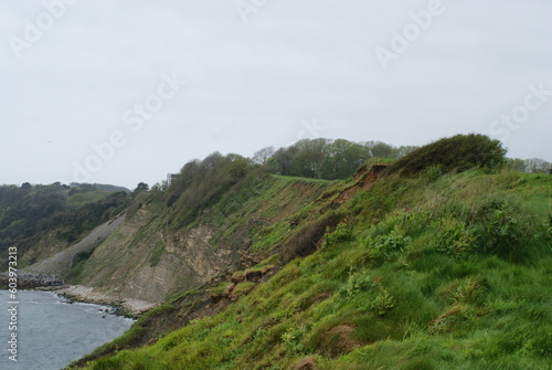 Dorset seaside cliff