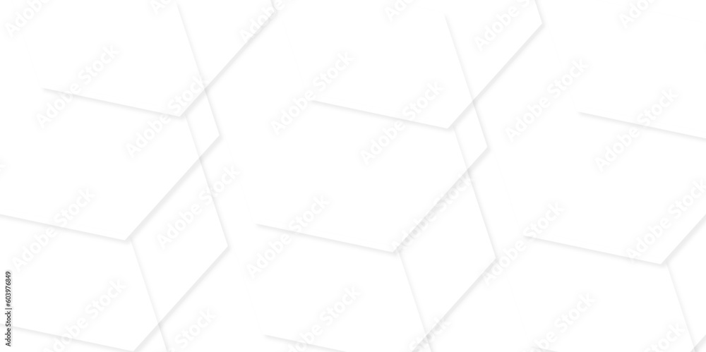 Abstract white monochrome vector background. Modern and minimal concept. white and grey color geometric background with copy space.