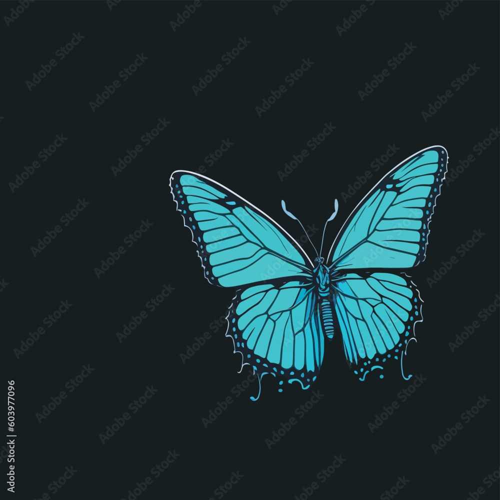 butterfly on black butterfly on black