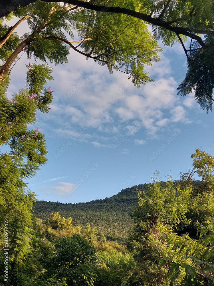 Fototapeta premium landscape in the mountains