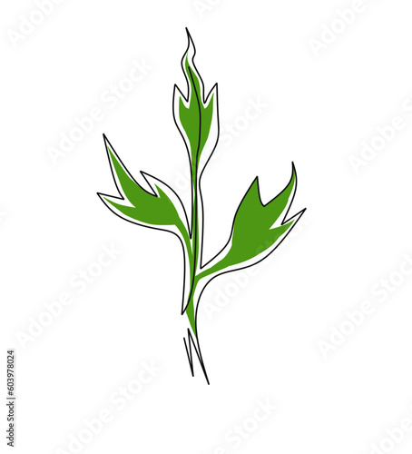 One continuous line drawing of mugwort