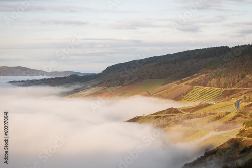 mosselle valley wine region in Germany filled with morning mist fog just after sunrise before the sun burns it off. dragons breath creates dreamy effect in natural beauty with perfect blue sky photo