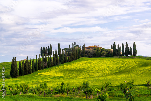 Views on the farmhouses and villas on the hills of the Orcia Valley near San Quirico d'Orcia
