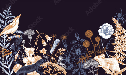 Summer design  in sketched style. Botanical drawings of wildflowers, herbs, meadows, berries, animals and birds. Vintage wildlife hand-drawn illustrations. Field plants background in color