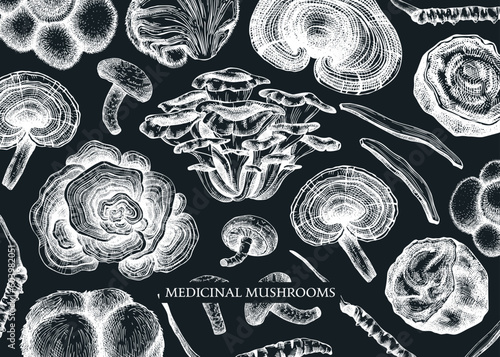 Medicinal mushroom vector background. Sketched adaptogenic plants banner design. Perfect for traditional medicine recipe, menu, label, packaging. Magic fungi sketches on chalkboard