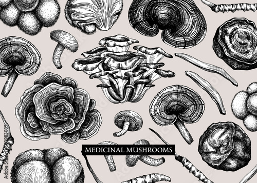 Medicinal mushroom vector background. Sketched adaptogenic plants banner design. Perfect for traditional medicine recipe, menu, label, packaging. Magic fungi sketches