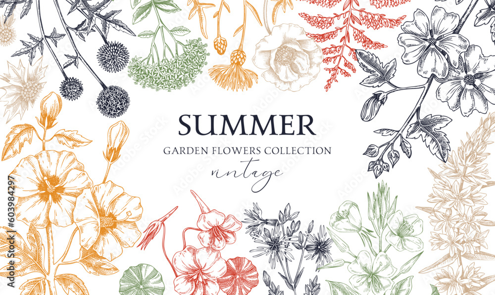 Hand drawn summer background. Garden flowers frame design in sketch style. Vinatge botanical illustration in color. Floral banner for prints, cards, posters