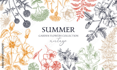 Hand drawn summer background. Garden flowers frame design in sketch style. Vinatge botanical illustration in color. Floral banner for prints, cards, posters