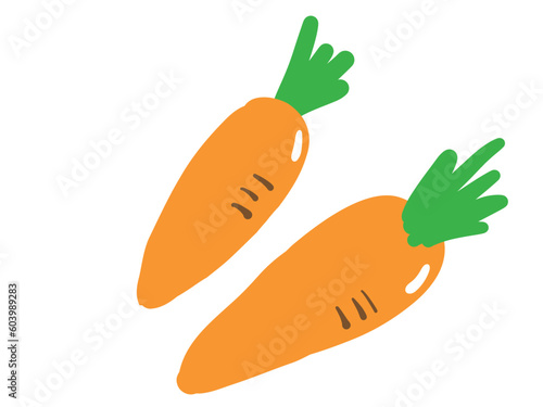 かわいい2本のニンジンセット／手描きイラスト素材