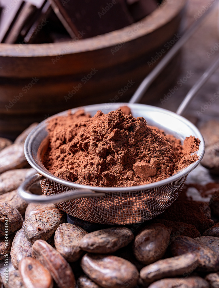 Powdered cocoa beans in a metal sieve selective focus Powdered cocoa beans in a metal sieve selective focus
