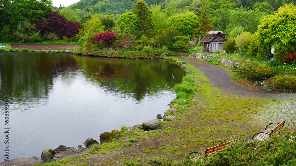 Promenade de bien-être, de santé et de relaxation autour d'un grand lac vert et brun, avec de la végétation rustique, d’Oshino Hakkaié, dans un ancien village japonais, une version Venise asiatique,