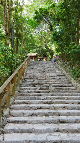 Grand escalier en bois   cologique ou en pierre historique et taill  e  dans une zone foresti  re ou de verdure bien dense  fourni et fleurissant  destination vers l inconnu  parcours sportif  d  couverte