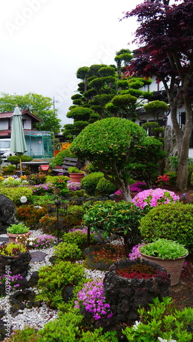 Jardin exotique, zen, coloré, avec des arbustes rouges et vert, style asiatique, bien entretenu et bien orné, plantation de fleurs exotiques, avec des arbustes bien taillées, effet d'éclairage Soleil,