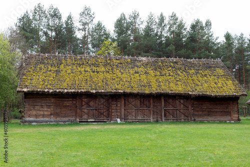 Old Wooden Building With Straw, Thatched Roof In Meadow, Open Air. Bungalow Construction in Rural Eastern Europe Area, Countryside. Horizontal Landscape Plane High quality photo photo