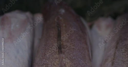 fresh monkfish in box inside a village market and with laowa optics in the foreground in motion

