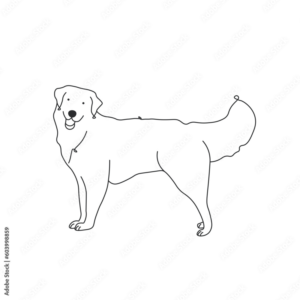 One line drawing. Dog Vector illustration. Golden retriever breed One line drawing. Dog Vector illustration. Golden retriever breed