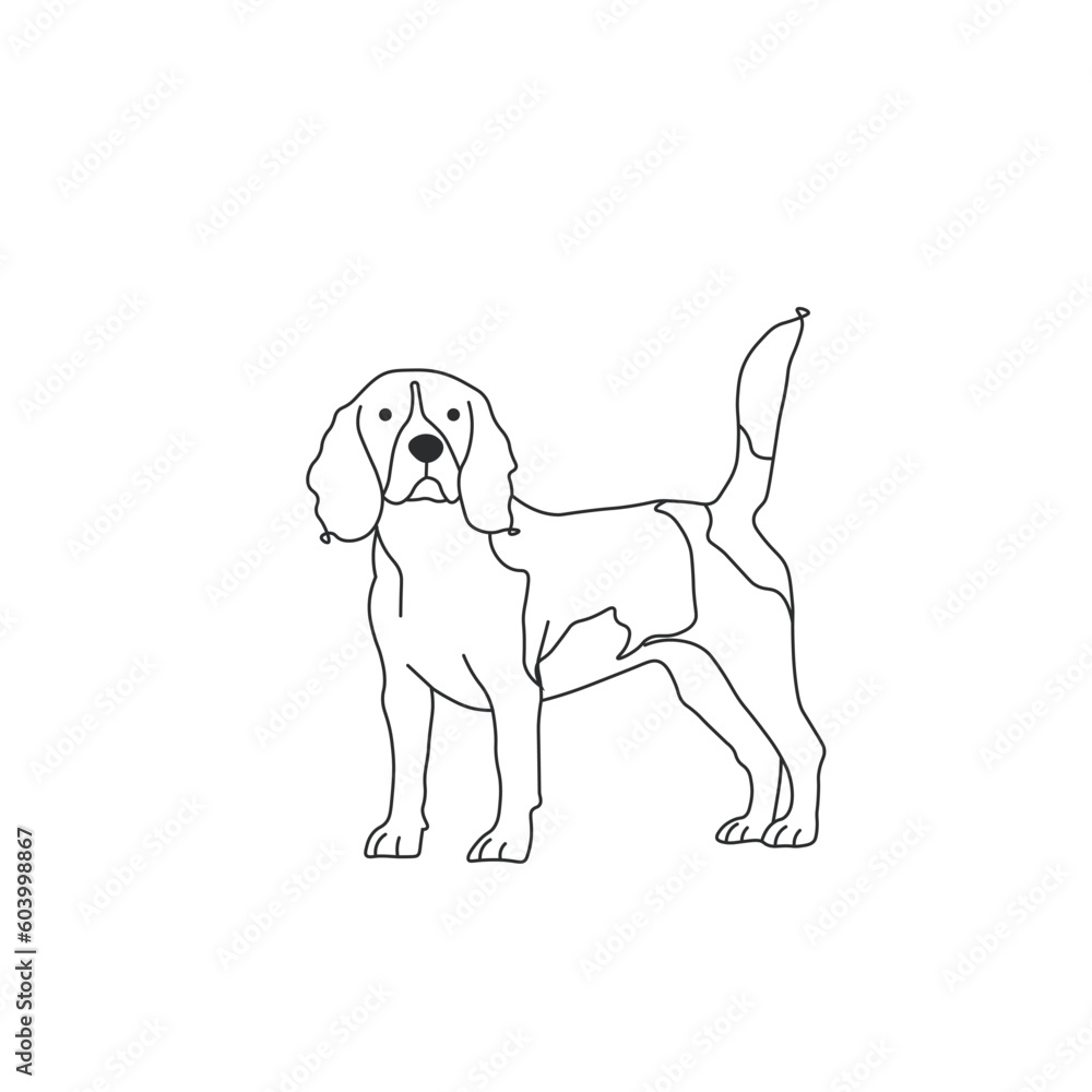 One line drawing. Dog Vector illustration. Beagle breed