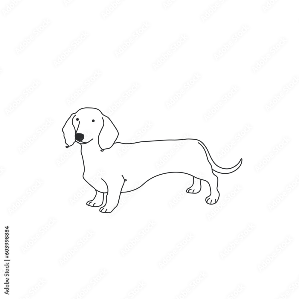One line drawing. Dog Vector illustration. Dachshunds breed