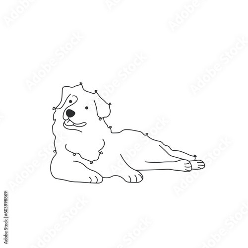 One line drawing. Dog Vector illustration. Australian Shepherds breed