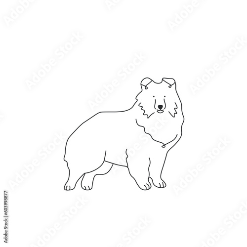 One line drawing. Dog Vector illustration. Shetland Sheepdogs breed
