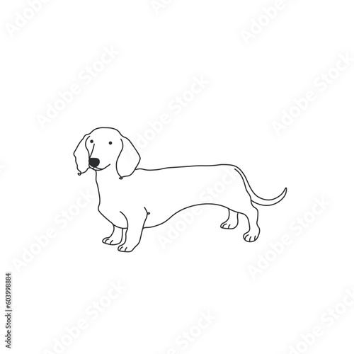 One line drawing. Dog Vector illustration. Dachshunds breed