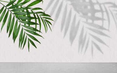 Tropical leaves over grey table casting shadow on white background