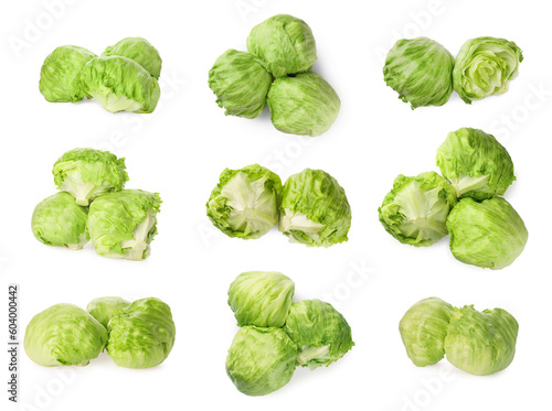 Collage with fresh lettuce heads on white background