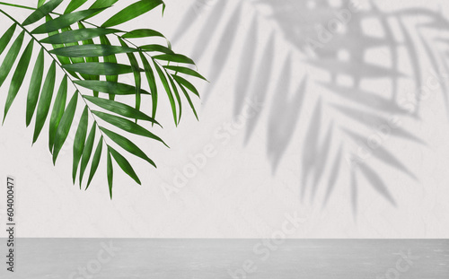 Billede på lærred Tropical leaves over grey table casting shadow on white background