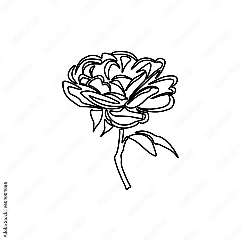 Obraz premium Rose Line