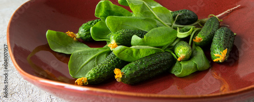 fresh spinach and cucumbers in a ceramic plate photo